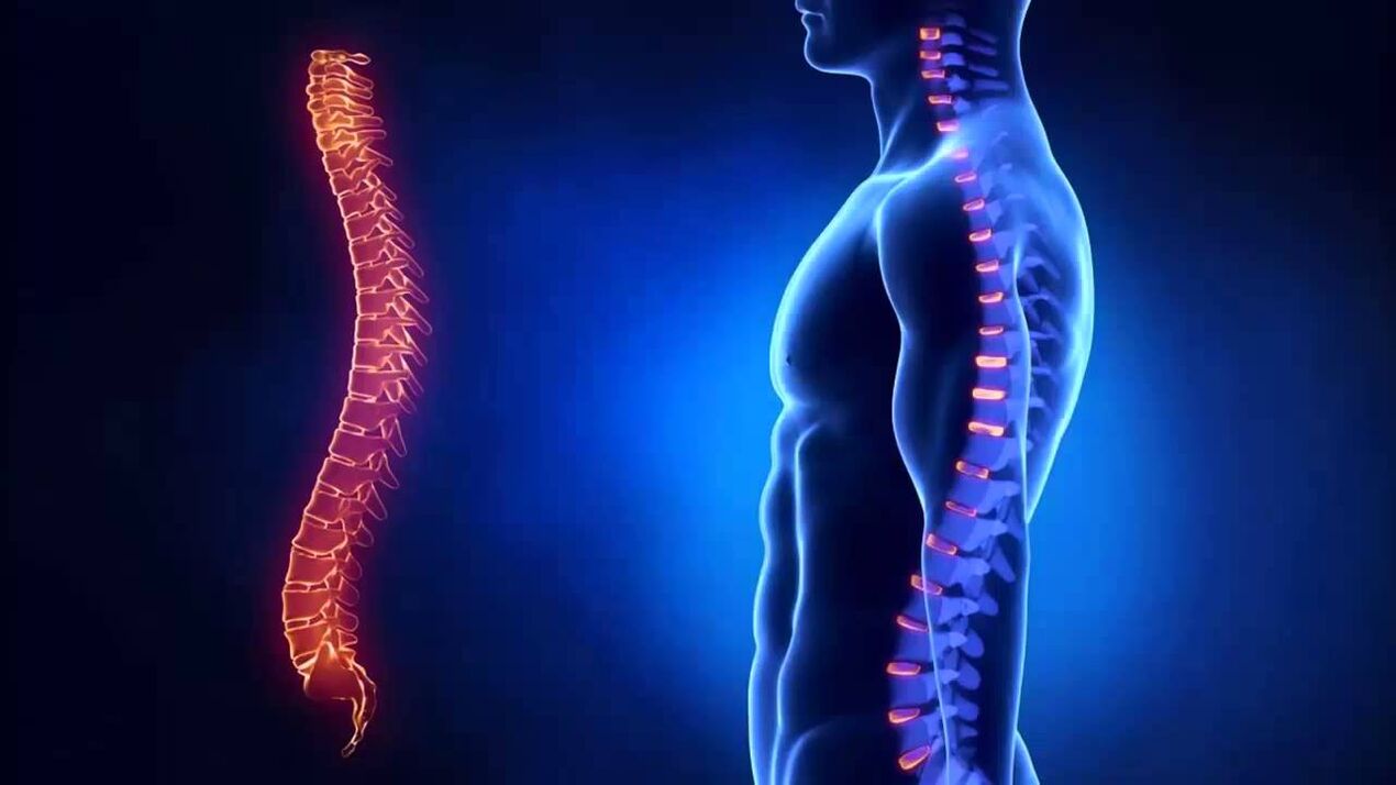 Osteochondrosis is classified according to the parts of the spine in which the disease develops.